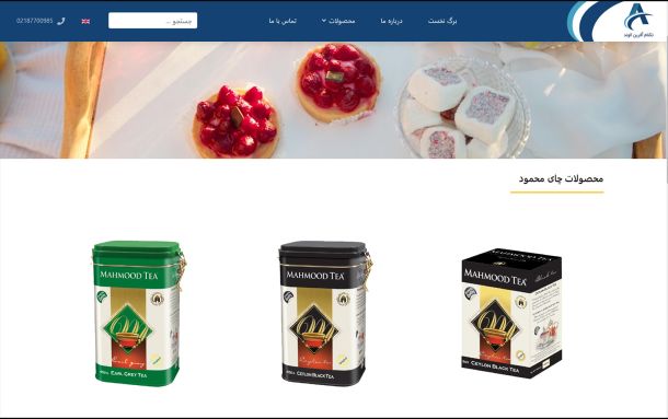 طراحی وب سایت شرکت تکنام آفرین الوند