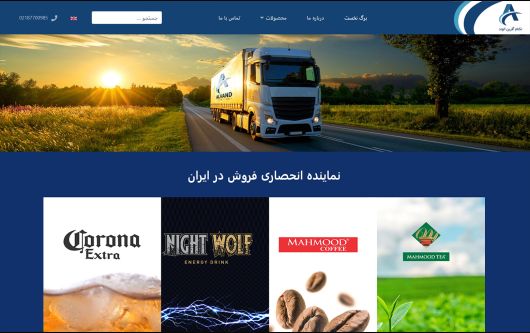 طراحی وب سایت شرکت تکنام آفرین الوند