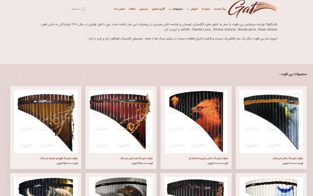 طراحی وب سایت  آکادمی موسیقی گات